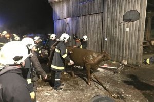 Foto: Stefan Maurer&nbsp; 